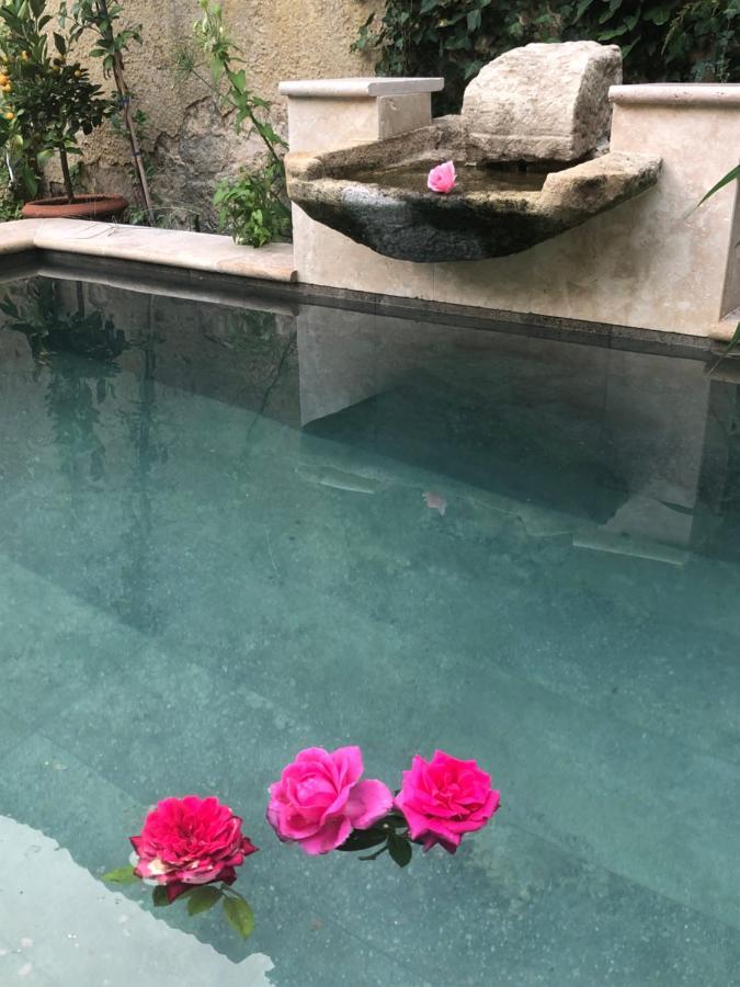 Le Clos De La Cathedrale Bazas Ngoại thất bức ảnh