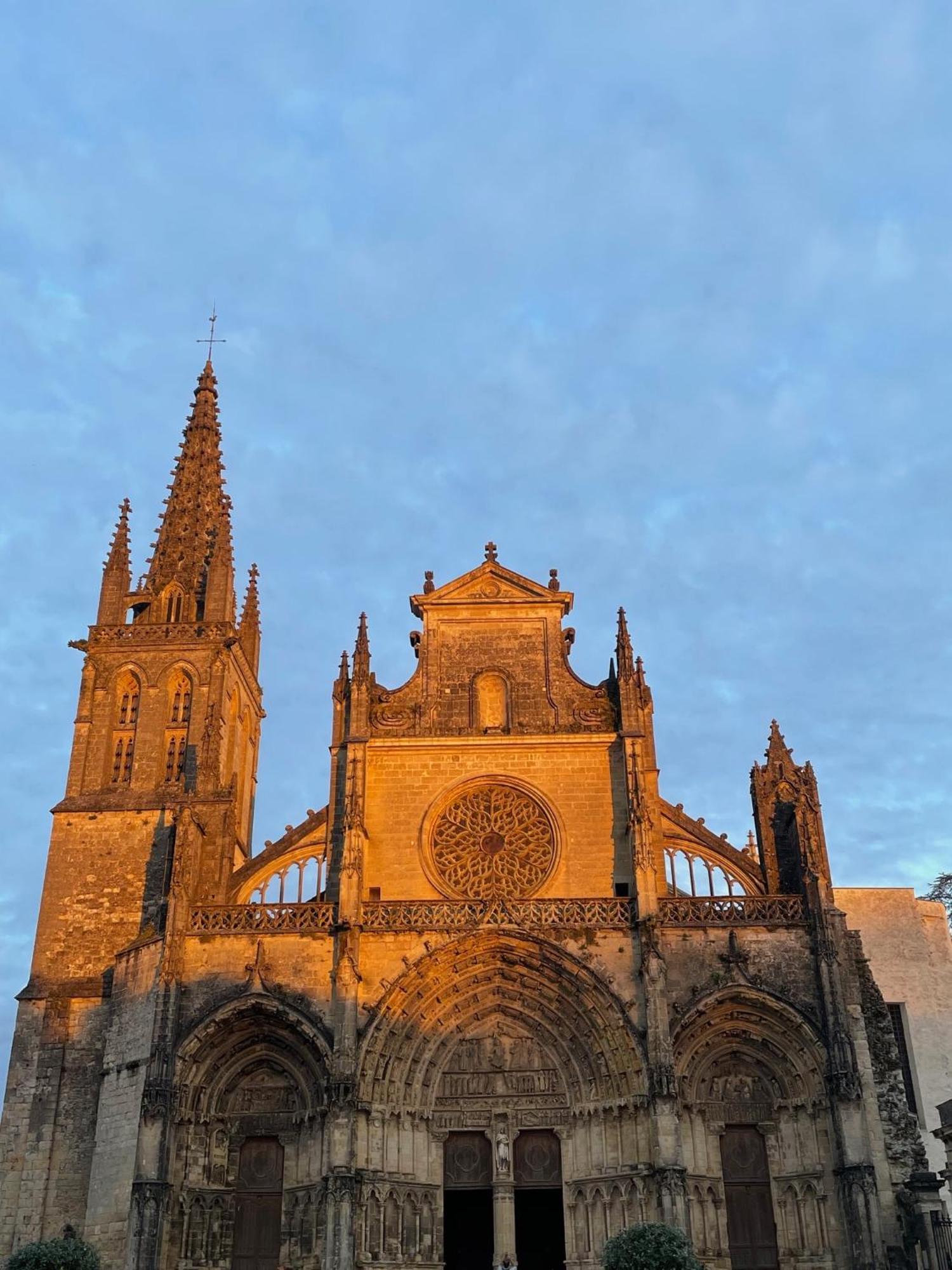 Le Clos De La Cathedrale Bazas Ngoại thất bức ảnh